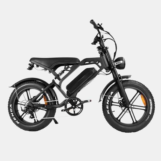 Fatbike voorbeeld 1