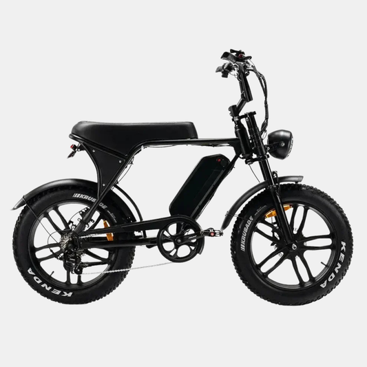 Fatbike voorbeeld 3