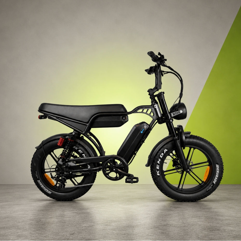 V29 Fatbike
