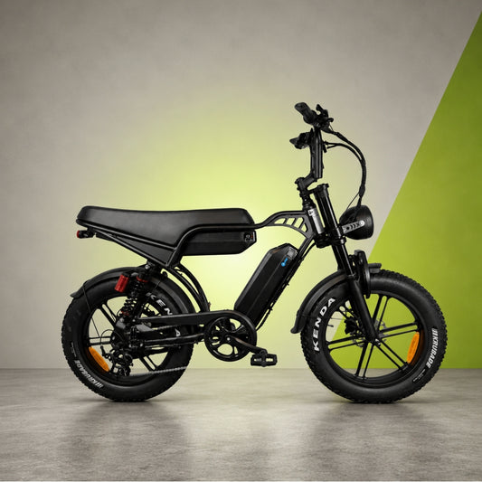V29 Fatbike