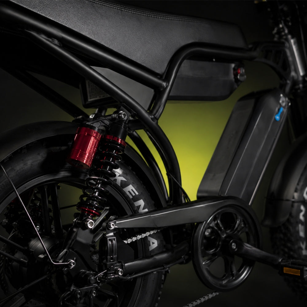 V29 Fatbike