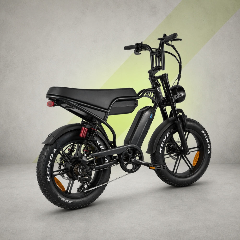 V29 Fatbike