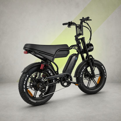 V29 Fatbike