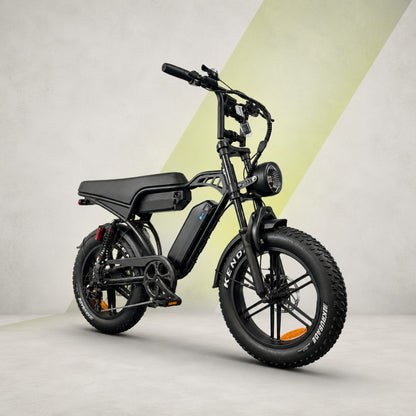 V29 Fatbike