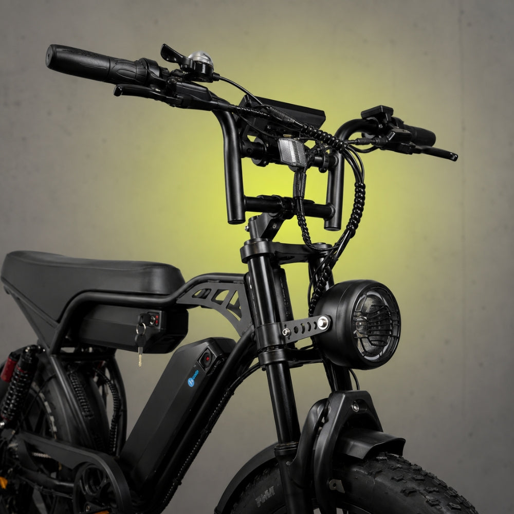 V29 Fatbike